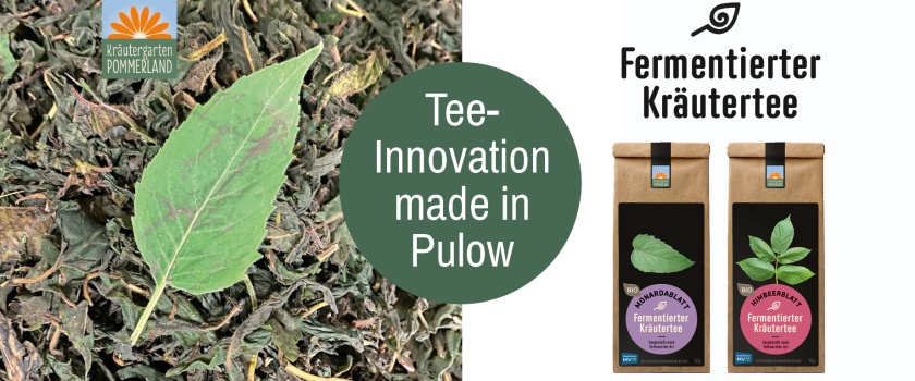Fermentierte Kräutertees von Kräutergarten Pommerland – zwei Bio-Kräutertees nach Schwarztee-Art Himbeerblatt und Monardablatt in 40 g bzw. 50 g Papiertüten. Handgemacht in Mecklenburg-Vorpommern.