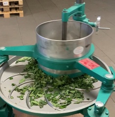 Fermentierte Kräutertees von Kräutergarten Pommerland – Fermentierung nach Schwarztee-Art wird auf chinesischem Rolltisch vorbereitet. Handgemacht in Mecklenburg-Vorpommern.