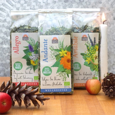 Bio-Kräutertee Weihnachts-Set Wellness