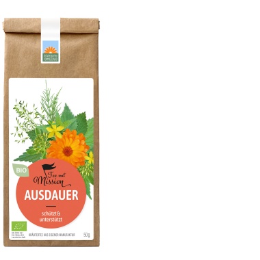 TEE MIT MISSION Ausdauer