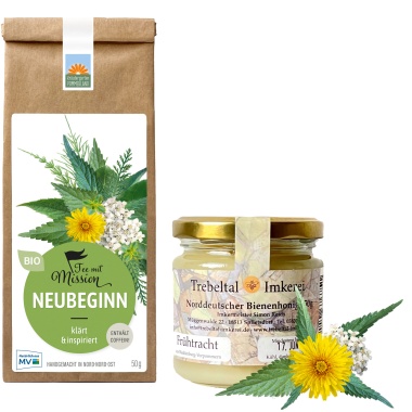 Archiv Frühtrachthonig und Neubeginn