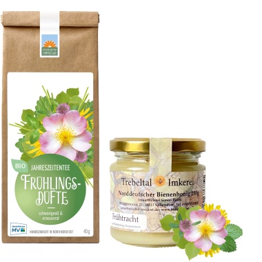 Archiv Frühtrachthonig und Frühlingsdüfte