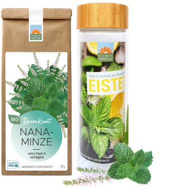 Saisonale Angebote EISTEE-SET Nanaminze + Weithalsflasche