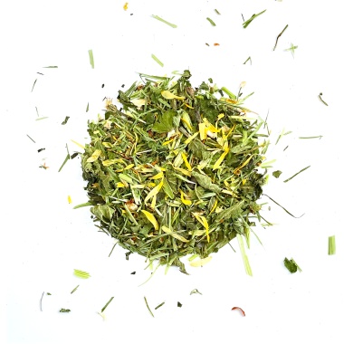 Ausdauer – Bio-Kräutertee lose – Fokussierender Tee aus Angelikawurzel (Engelwurz), GRÜNER HAFER, Schachtelhalm, Brennnesselblätter, Ringelblumenblüte, Anis, Johanniskraut. Handgemacht in Mecklenburg-Vorpommern von Kräutergarten Pommerland.