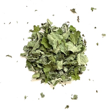 Apfelminze – Bio-Kräutertee lose – freundlich und mild aus100% Mentha rotundifolia. Handgemacht in Mecklenburg-Vorpommern von Kräutergarten Pommerland.